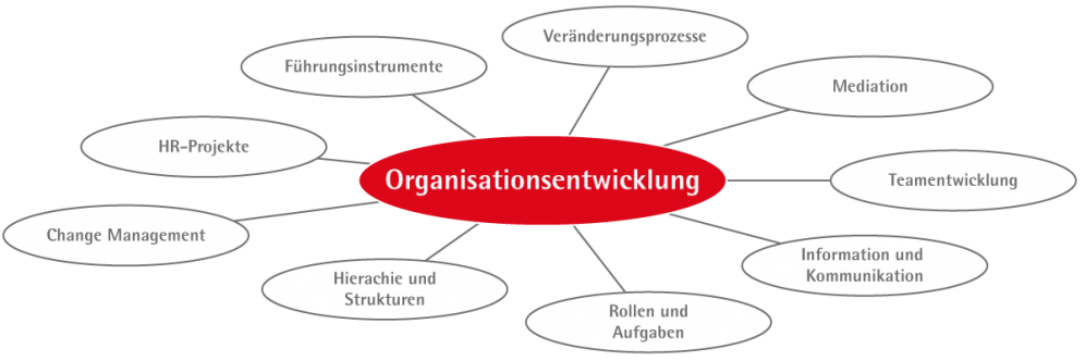 organisationsentwicklung3.png